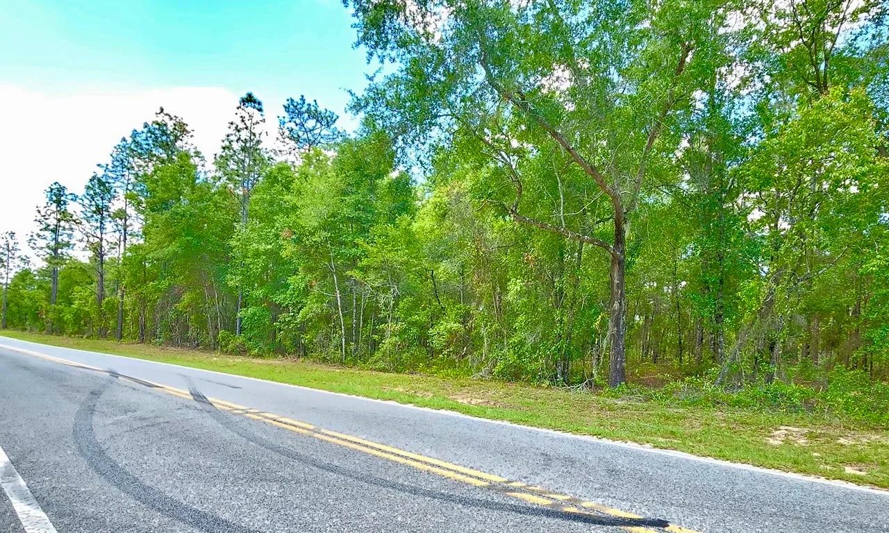 Decorative background for Beautiful Lot at Paved Road image 6