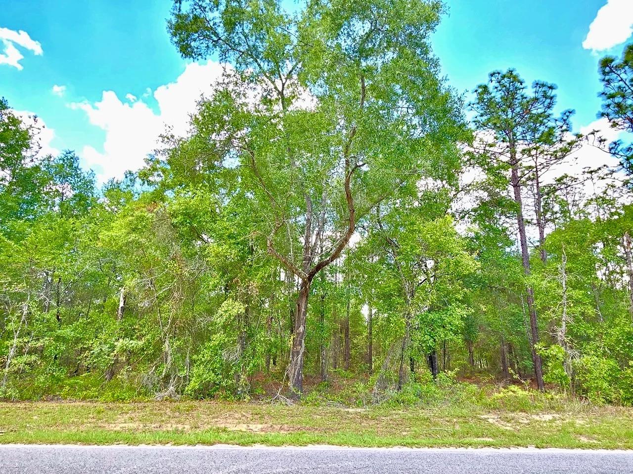 Decorative background for Beautiful Lot at Paved Road image 7