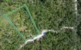 Residential private land by Suwannee River - Image 2