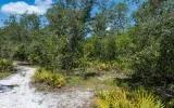 Decorative background for Residential private land by Suwannee River image 5