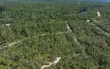 Decorative background for Residential private land by Suwannee River image 6