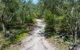 Decorative background for Residential private land by Suwannee River image 8