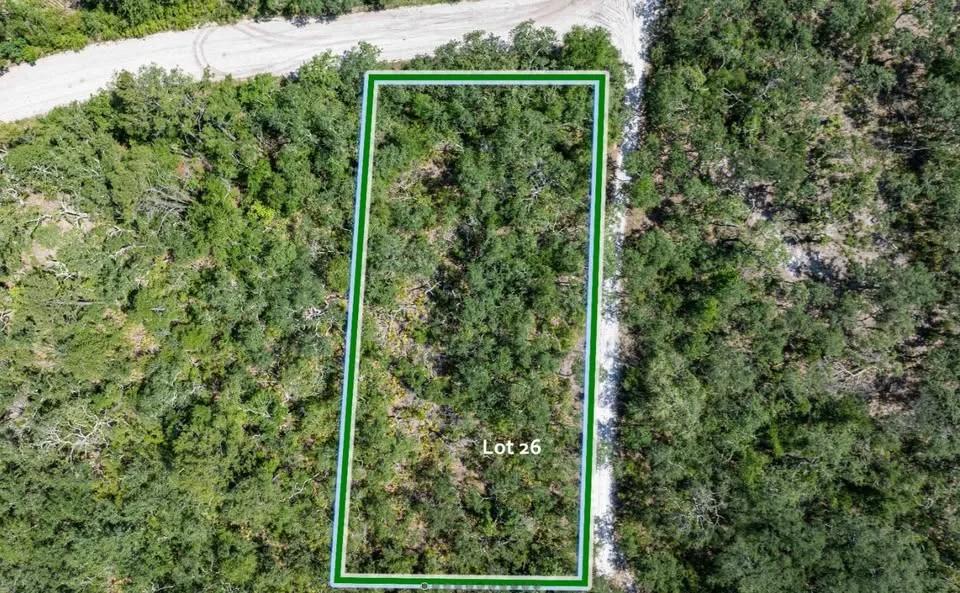 Decorative background for Suwannee River - Private, Affordable Land! image 5