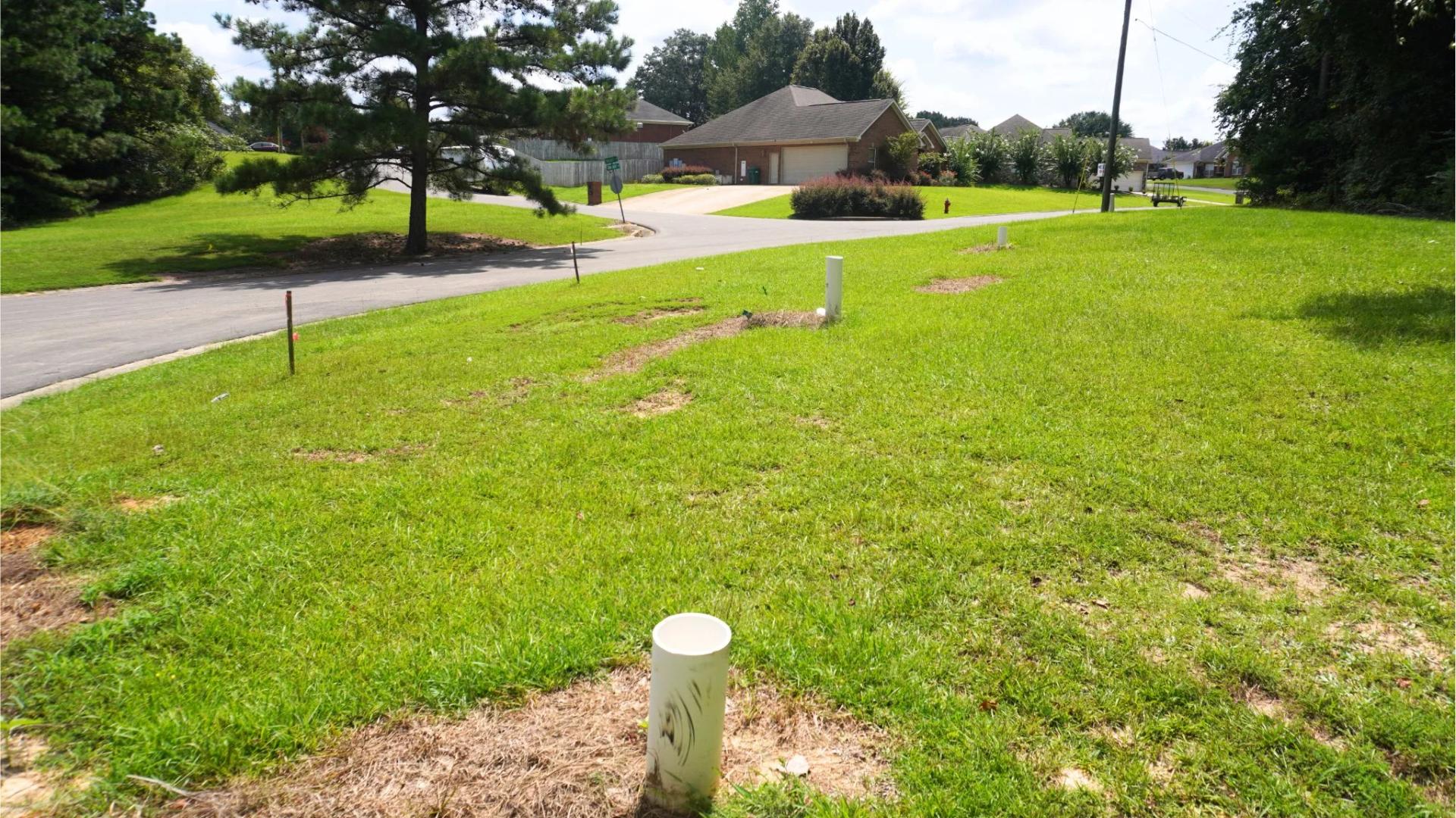 Decorative background for 4.40 Wooded Acres Set in Tuscaloosa, Alabama with Creek, Utilities, & Safe Family Cul-de-Sac Living image 6
