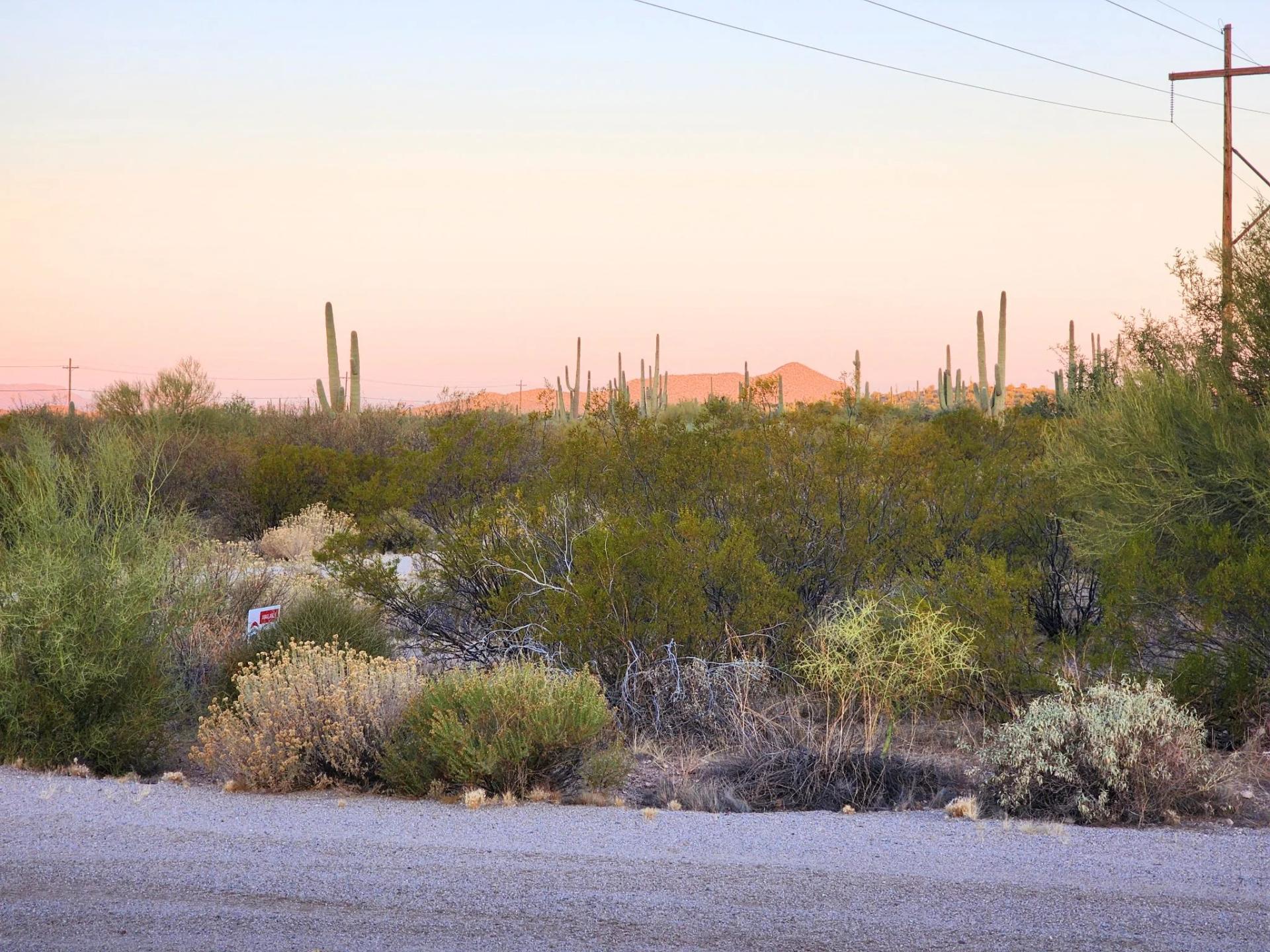 Decorative background for Desert Vibe in Pinal AZ, 15.56 Acres of Flat Buildable Land with Power & Easy Highway Access image 6