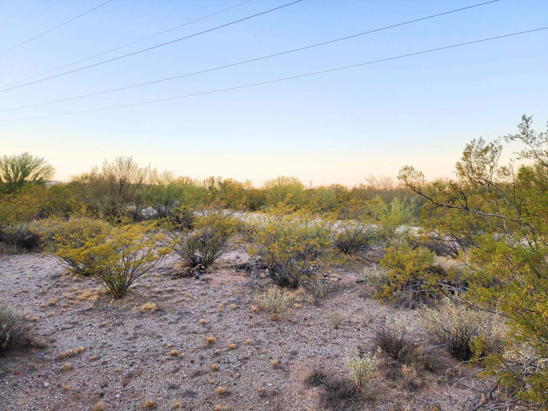 Decorative background for Desert Vibe in Pinal AZ, 15.56 Acres of Flat Buildable Land with Power & Easy Highway Access image 7