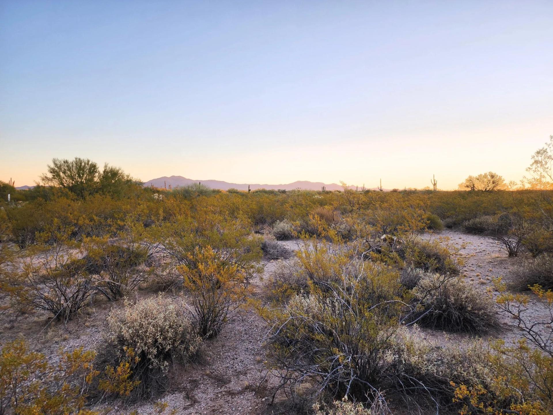 Decorative background for Desert Vibe in Pinal AZ, 15.56 Acres of Flat Buildable Land with Power & Easy Highway Access image 11