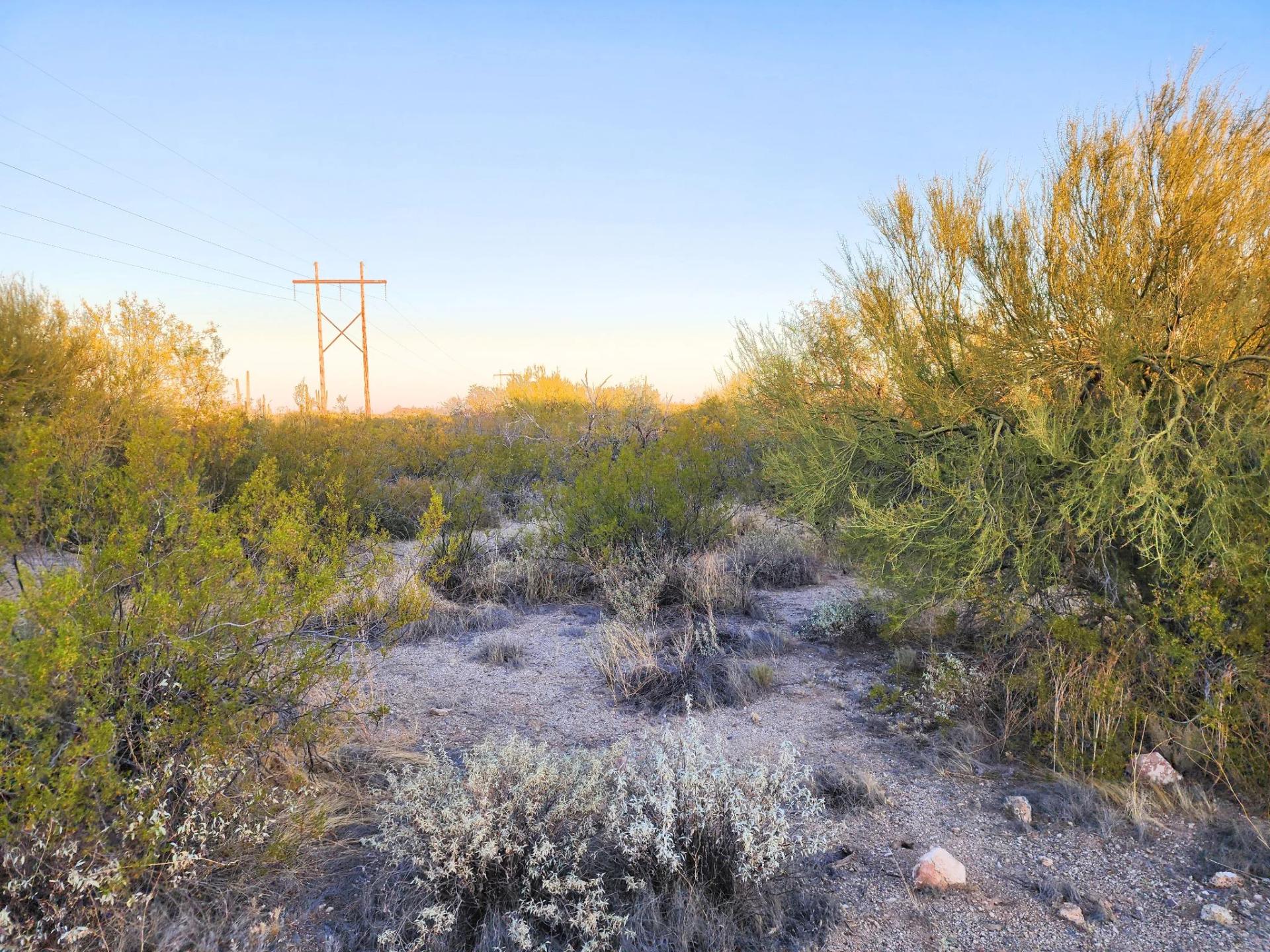 Decorative background for Desert Vibe in Pinal AZ, 15.56 Acres of Flat Buildable Land with Power & Easy Highway Access image 10