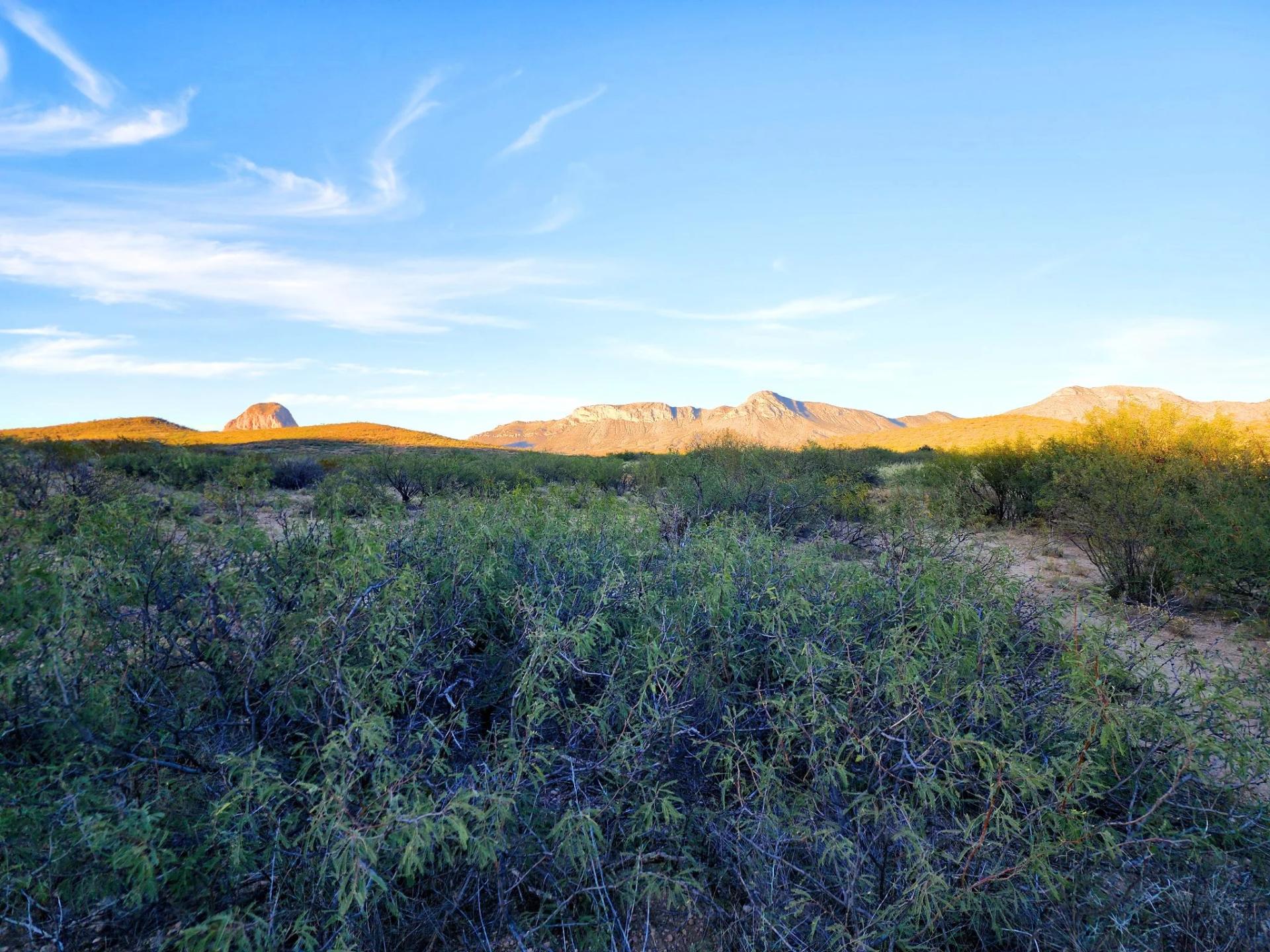 Decorative background for Desert Vibe in Pinal AZ, 15.56 Acres of Flat Buildable Land with Power & Easy Highway Access image 12