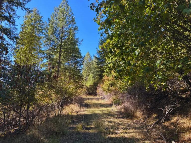 Lakeside Living in Bayview – 0.55 Acres with Power & City Water - Main image