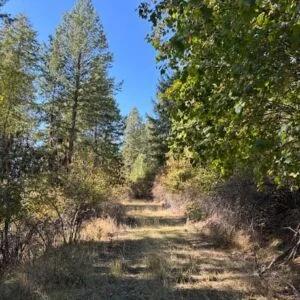 Decorative background for Lakeside Living in Bayview – 0.55 Acres with Power & City Water image 6