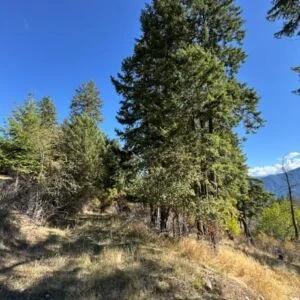 Decorative background for Lakeside Living in Bayview – 0.55 Acres with Power & City Water image 8