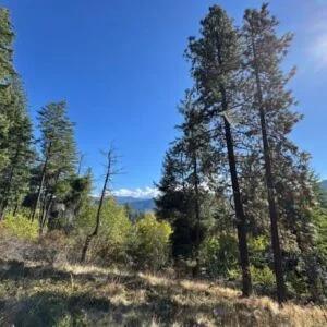 Decorative background for Lakeside Living in Bayview – 0.55 Acres with Power & City Water image 10