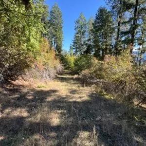 Decorative background for Lakeside Living in Bayview – 0.55 Acres with Power & City Water image 11