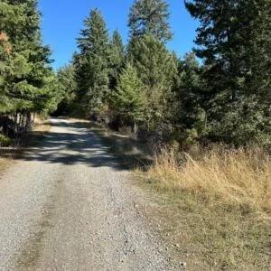 Decorative background for Lakeside Living in Bayview – 0.55 Acres with Power & City Water image 12