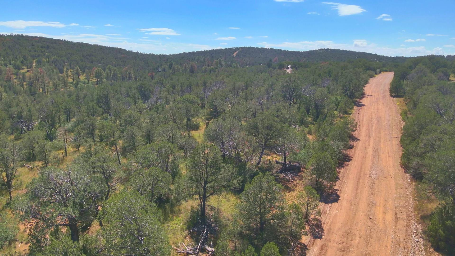 Decorative background for Fall in Love with Mountain Living – 2.49 Acres in Timberon, NM w/ Utilities🔌for Hassle-Free Build & Quiet Retreat image 7