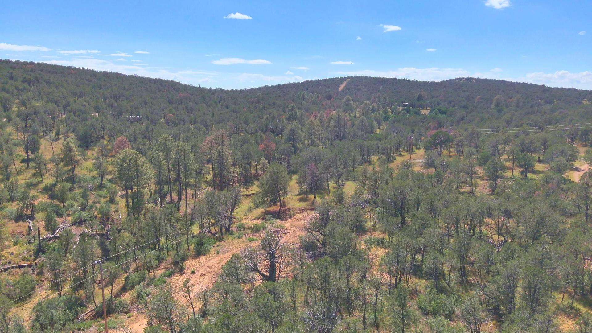 Fall in Love with Mountain Living – 2.49 Acres in Timberon, NM w/ Utilities🔌for Hassle-Free Build & Quiet Retreat - Image 3