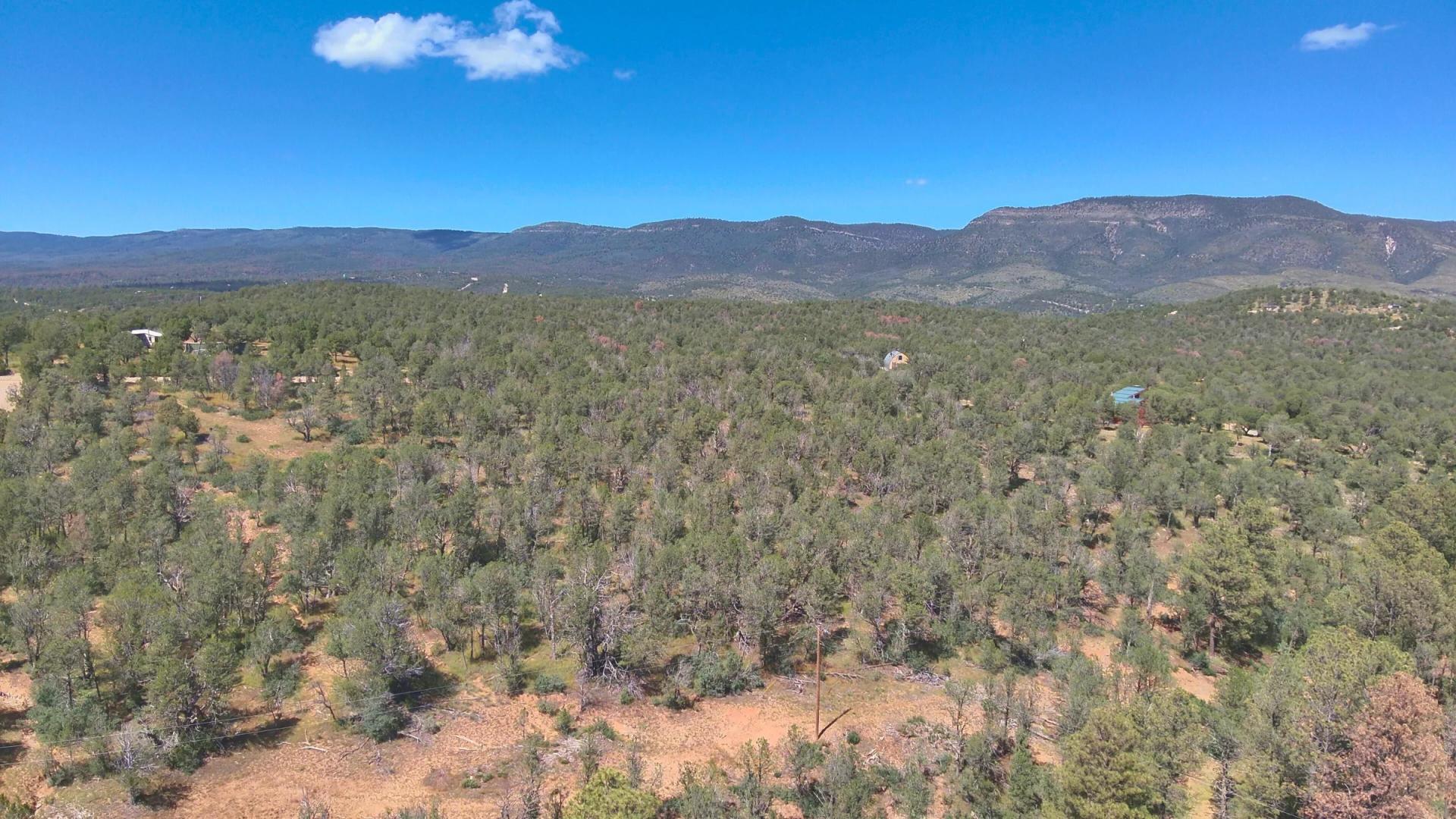 Fall in Love with Mountain Living – 2.49 Acres in Timberon, NM w/ Utilities🔌for Hassle-Free Build & Quiet Retreat - Image 4