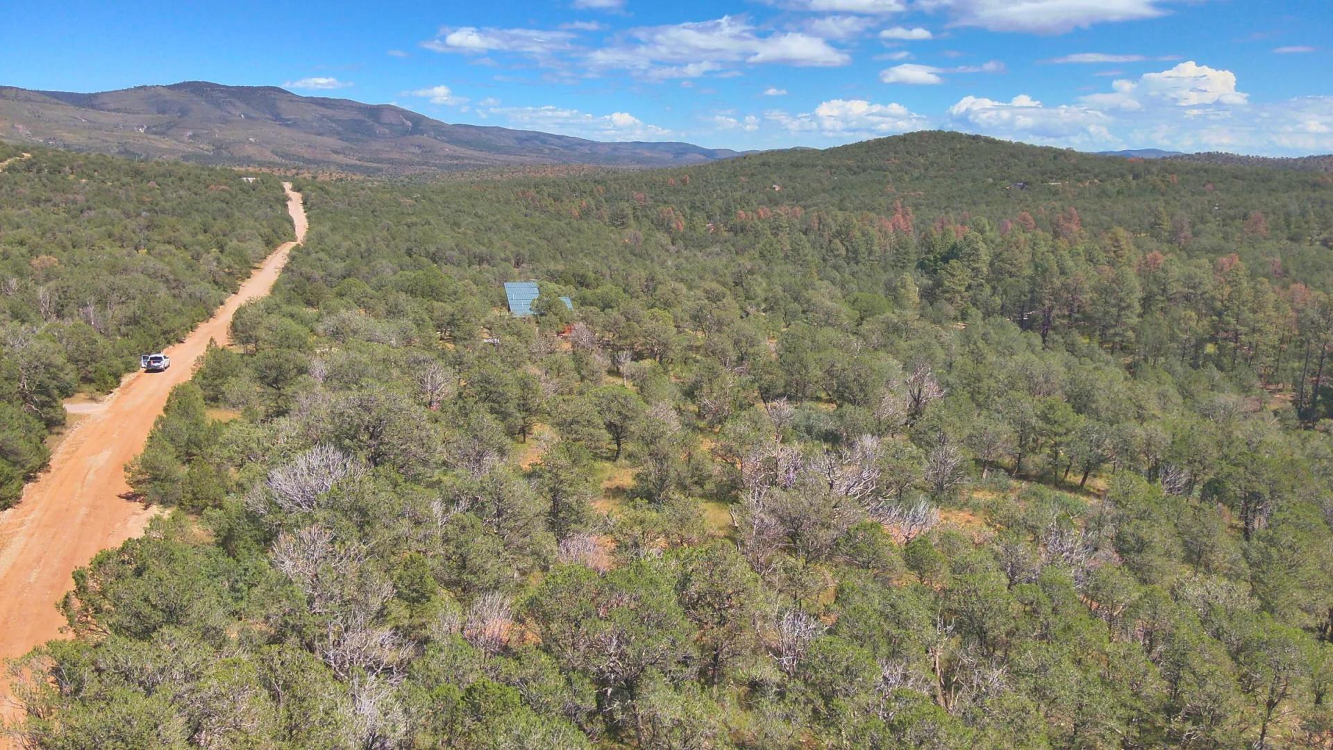 Decorative background for Fall in Love with Mountain Living – 2.49 Acres in Timberon, NM w/ Utilities🔌for Hassle-Free Build & Quiet Retreat image 6