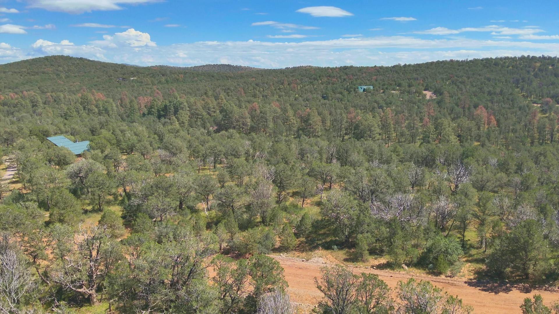 Decorative background for Fall in Love with Mountain Living – 2.49 Acres in Timberon, NM w/ Utilities🔌for Hassle-Free Build & Quiet Retreat image 8