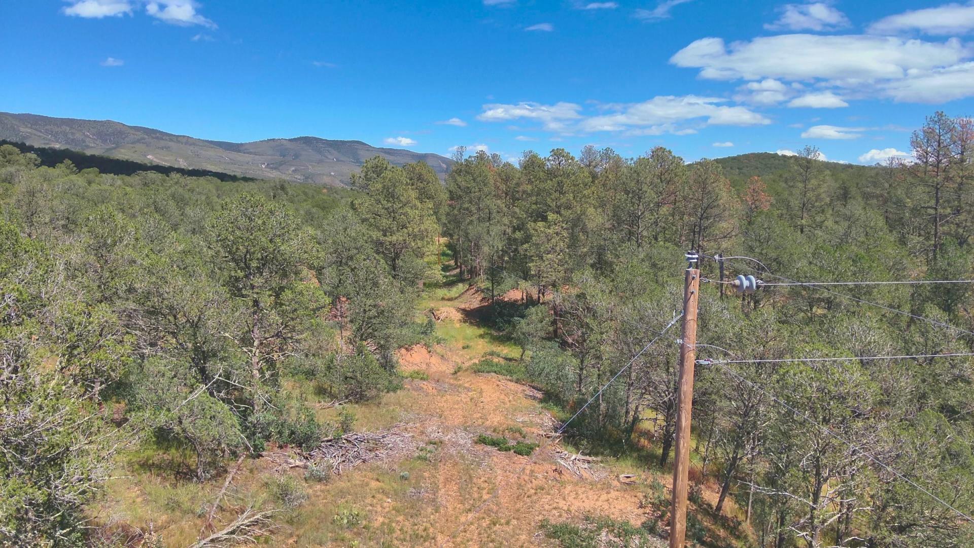 Decorative background for Fall in Love with Mountain Living – 2.49 Acres in Timberon, NM w/ Utilities🔌for Hassle-Free Build & Quiet Retreat image 10