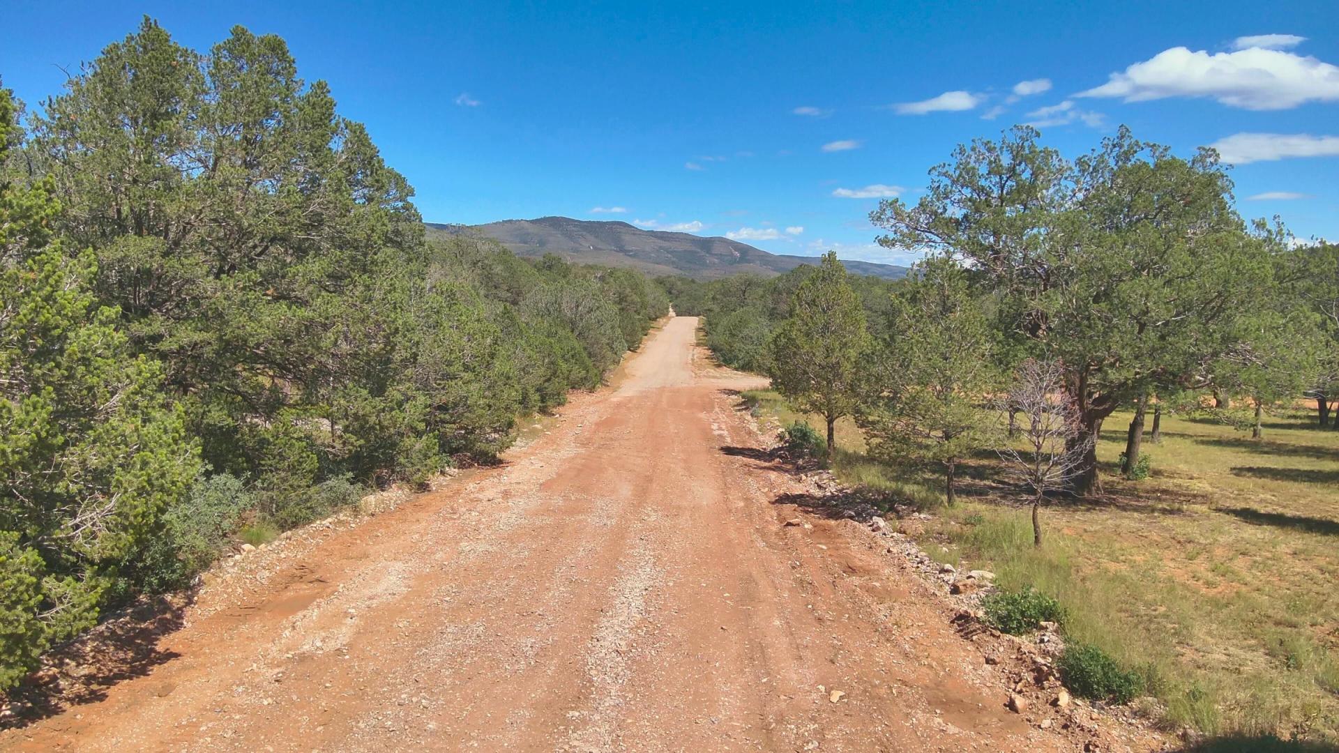 Decorative background for Fall in Love with Mountain Living – 2.49 Acres in Timberon, NM w/ Utilities🔌for Hassle-Free Build & Quiet Retreat image 11