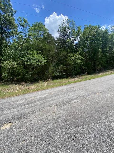 Twin Lakes 0.49ac Lot Horseshoe Bend AR - Main image