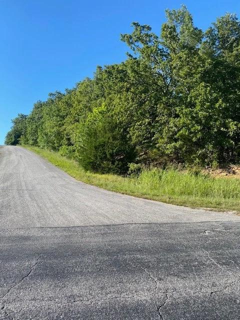 Available Now — 0.63 Acres in Horseshoe Bend, AR! - Main image