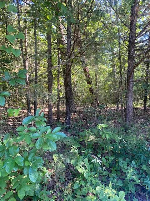 $140/mo for 48 mo to Retire next to 14th hole in Ozarks - Image 3