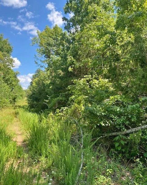 0.44 Acre Lot in Horseshoe Bend | $100 Down - Main image