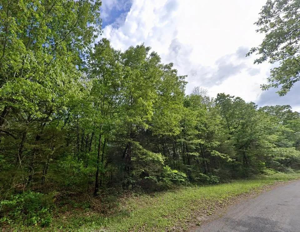 Own this 0.36 ac lot in the Ozarks for only $115/mo - Main image