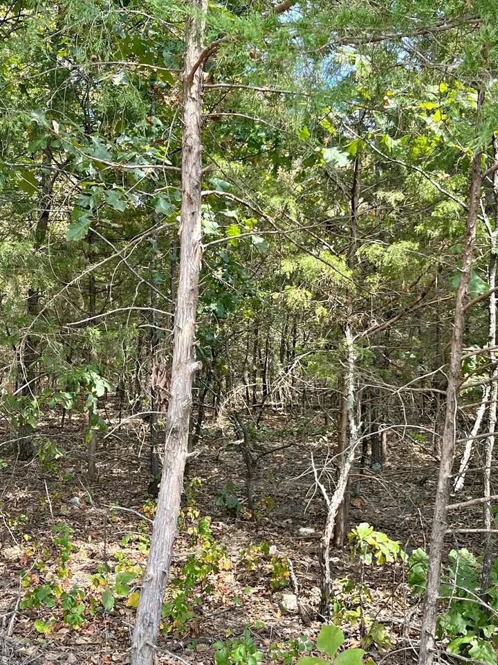 Crown Lake Area Lot With Paved Road Access in Izard County, AR