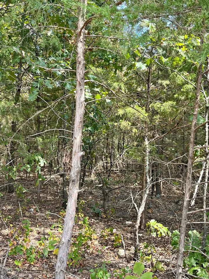 Crown Lake Area Lot With Paved Road Access - Main image