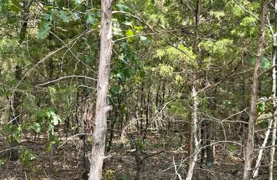 Crown Lake Area Lot With Paved Road Access