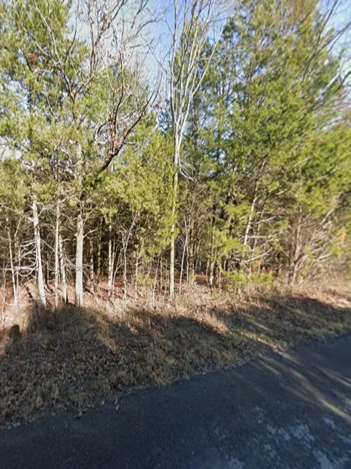$250 Down Small Lot Near Lake Tenkiller – Park Hill, OK - Main image