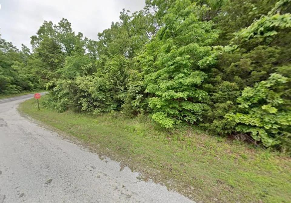 $110/mo Crown Lake Lot in Horseshoe Bend | $150 Down - Main image