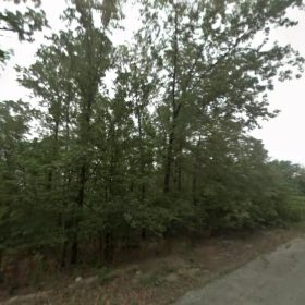 $115/mo Crown Lake Area Lot | $100 Down in Izard County, AR