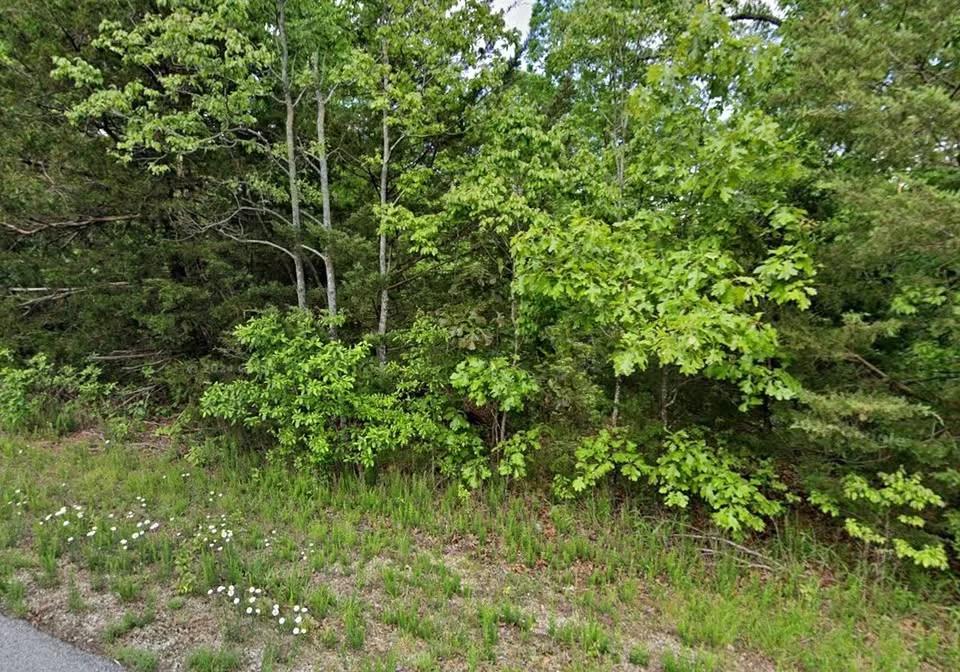 $120/mo Crown Lake Area Lot | $200 Down - Main image