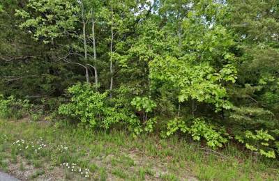 $120/mo Crown Lake Area Lot | $200 Down