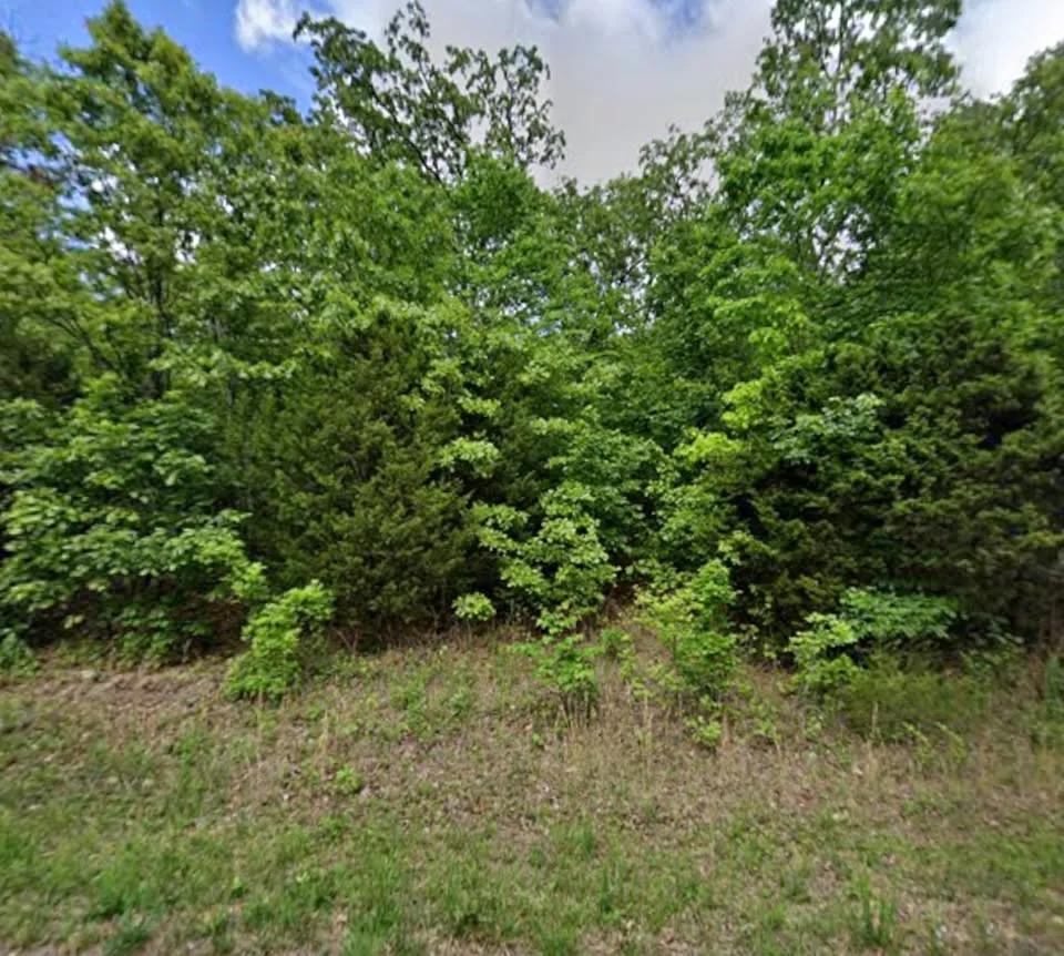 0.35 Acre Buildable Lot Near Crown Lake | $150 Down - Main image