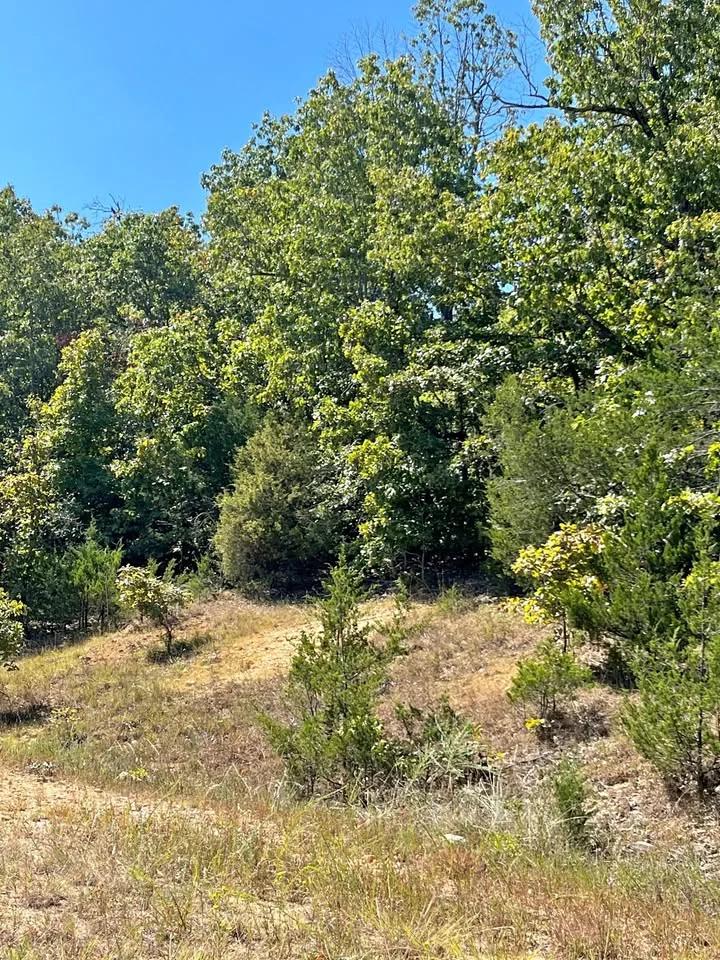 0.50 Acre Buildable Lot in Horseshoe Bend | $200 Down - Main image