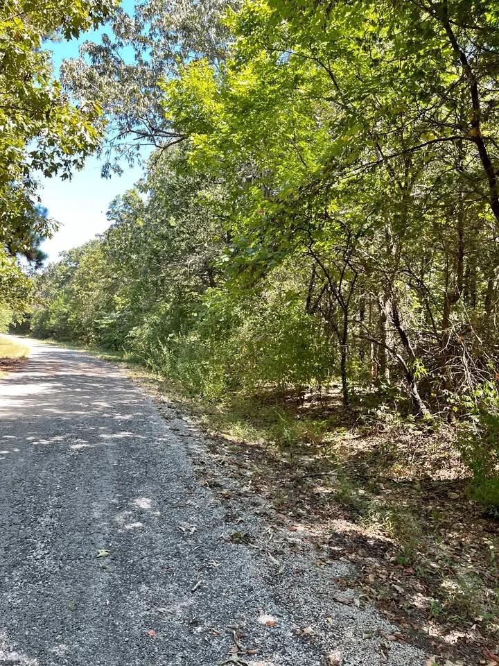 Crown Lake Area Lot With Simple Monthly Payments - Main image