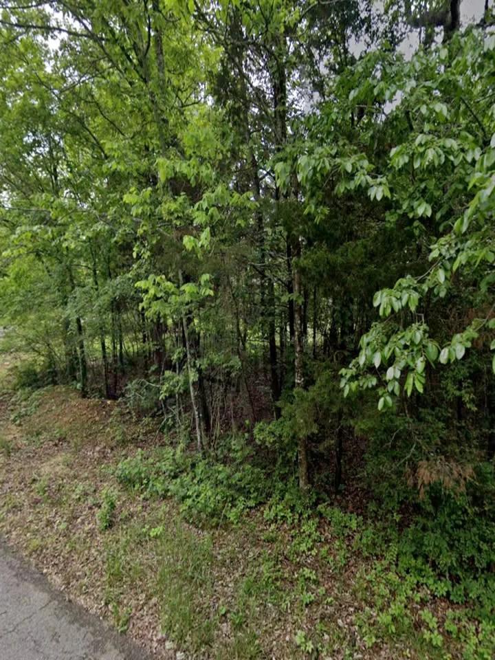 0.40 Acre Fairway Lot Near Crown Lake in Horseshoe Bend, AR - Main image