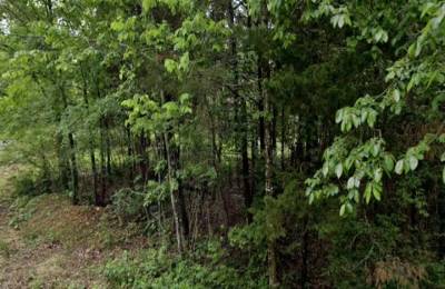 0.40 Acre Fairway Lot Near Crown Lake in Horseshoe Bend, AR