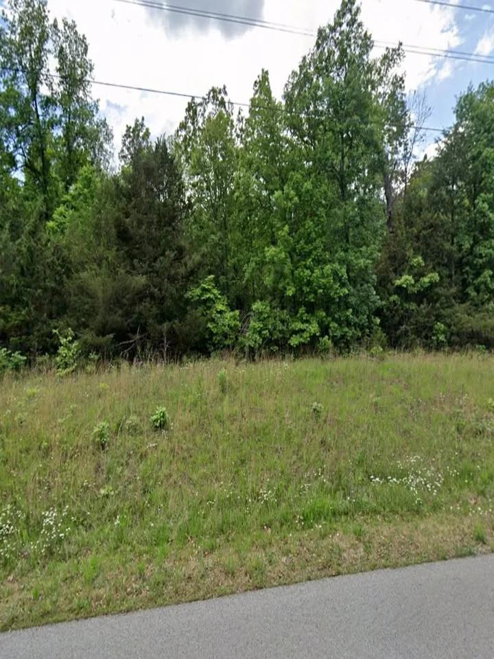 Paved Access Lot in Horseshoe Bend | Hold or Build Later - Main image