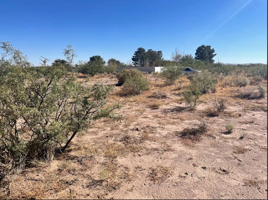 Luna, NM - 3054151048321 - Image 3