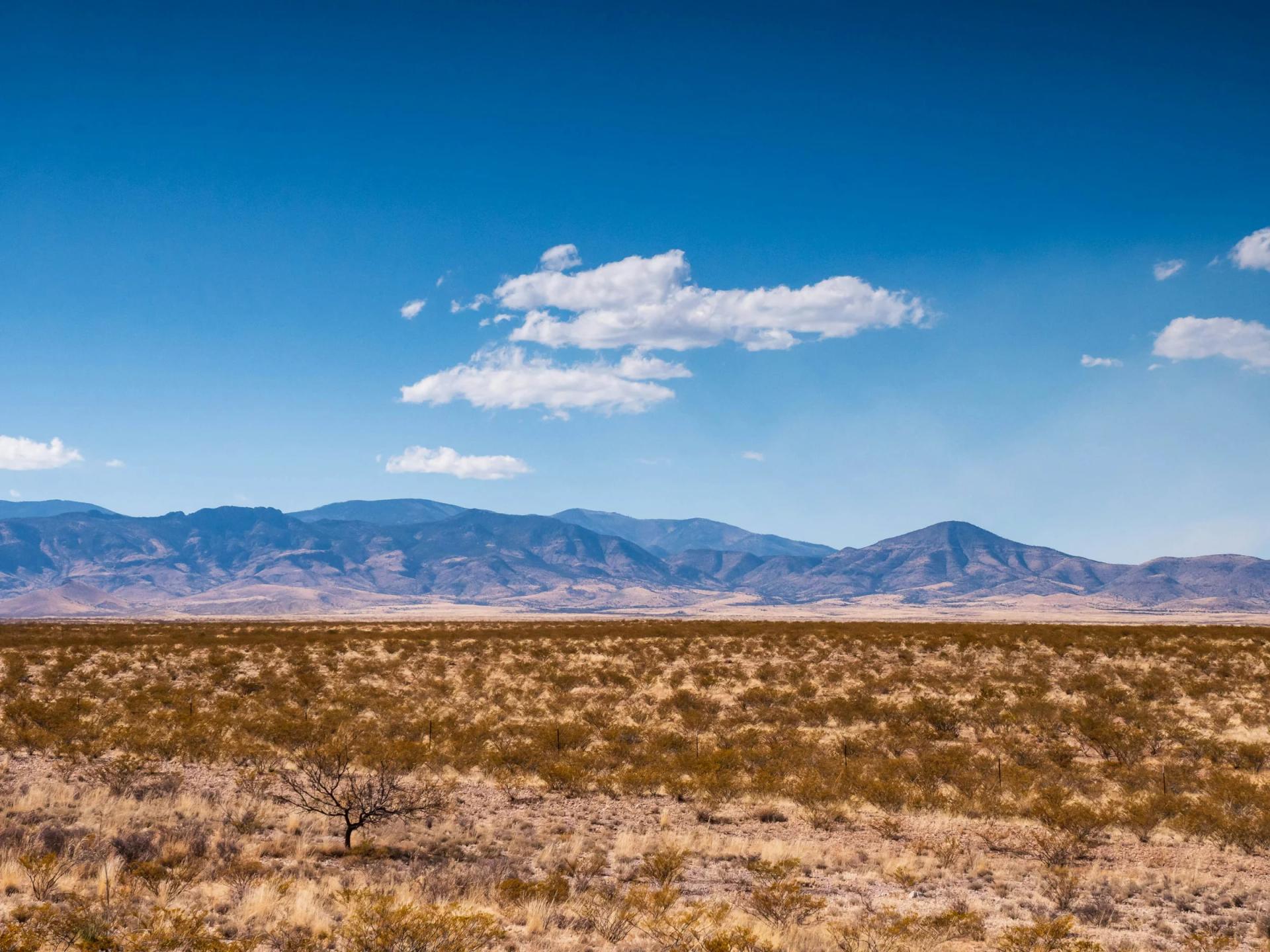 Decorative background for Luna, NM - 3035153514150  image 9