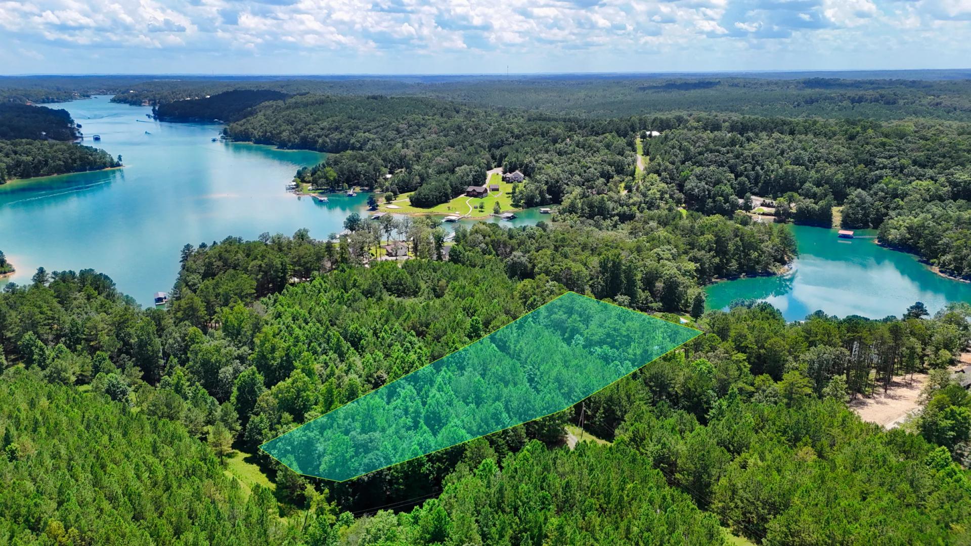 Decorative background for 1.59 Acres Near Lake w/ Public Water - LAKE VIEWS image 48