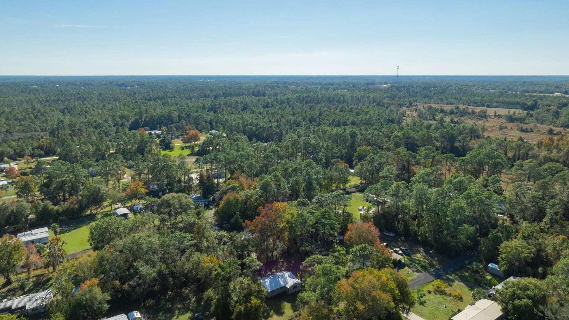 Decorative background for Florida Homesite Opportunity - 0.4 Acres in Crescent City, Water Nearby image 11