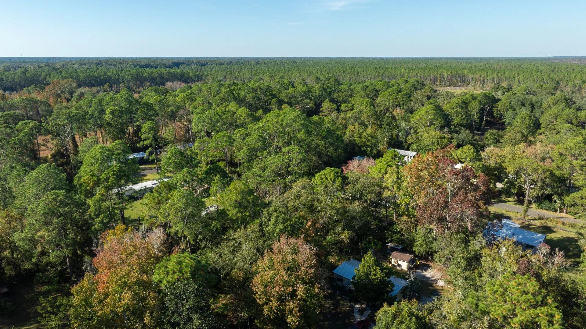 Decorative background for Florida Homesite Opportunity - 0.4 Acres in Crescent City, Water Nearby image 14